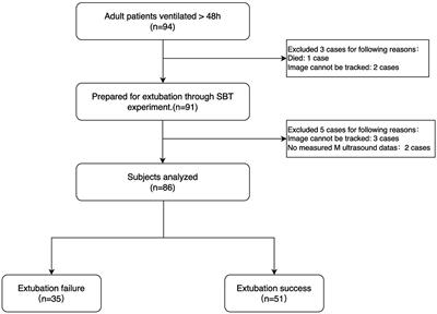 Speckle tracking ultrasound as a new tool to predict the weaning outcome of mechanical ventilation patients: a prospective observational study